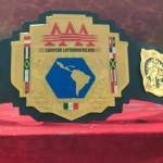 wrestling belt online