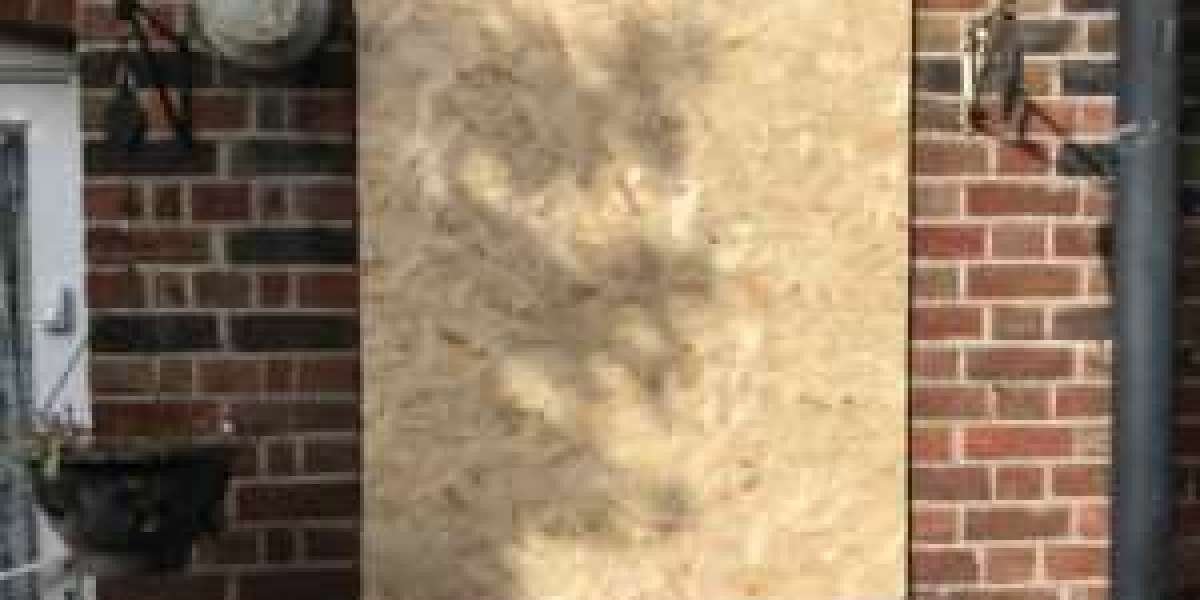 The 10 Most Terrifying Things About Commercial Boarding Up